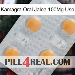 Kamagra Oral Jelly 100Mg Use 24